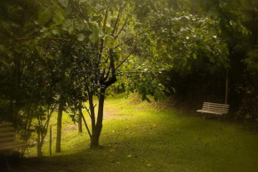 Alugo minha casa na floresta!